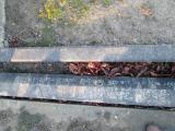 image of grave number 372913